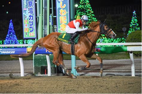 船橋競馬 第2回開催〔5月1日月～5月5日祝・金〕「若潮スプリント（sⅢ）」〔52（火）〕「東京湾カップ（sⅡ）」〔53（祝・水