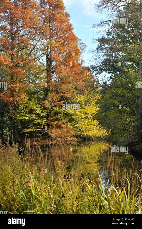 Vibrant Autumn Colours Stock Photo Alamy