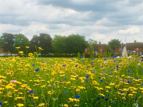 Woodford Park awarded Green Flag status for second year running ...