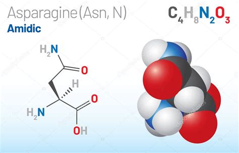 Molécula de aminoácidos de asparagina Asn N fórmula química