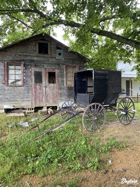 Top 5 Farms To Visit: An Amish Community in Tennessee | Daybook