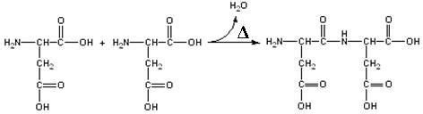 Synthesis