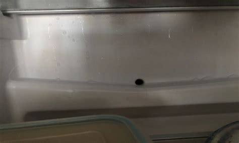 Refrigerator Mold? Here’s How To Clean And Prevent It – MoldTutor.com