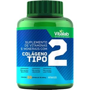 Magnésio Zinco e Vitamina C Colágeno Tipo 2 Vital Natus 60