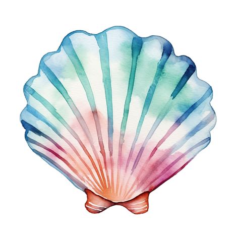 Clipart De Concha De Vieira Em Aquarela Png Aquarela Oceano Mar Png