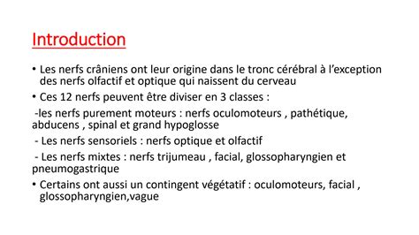 Solution Anatomie Des Nerfs Craniens Studypool