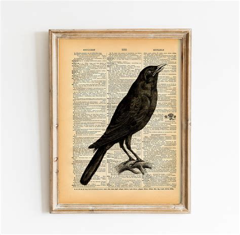 Vintage Book Art Crow Print Natural History Bird Art Print Etsy