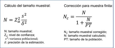 Tama O Muestral Para La Estimaci N De Una Media Una Medida Con