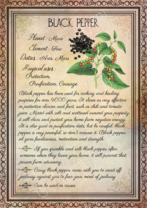 Printable Herbs Book Of Shadows Pages Set 3 Herbs Plants Etsy