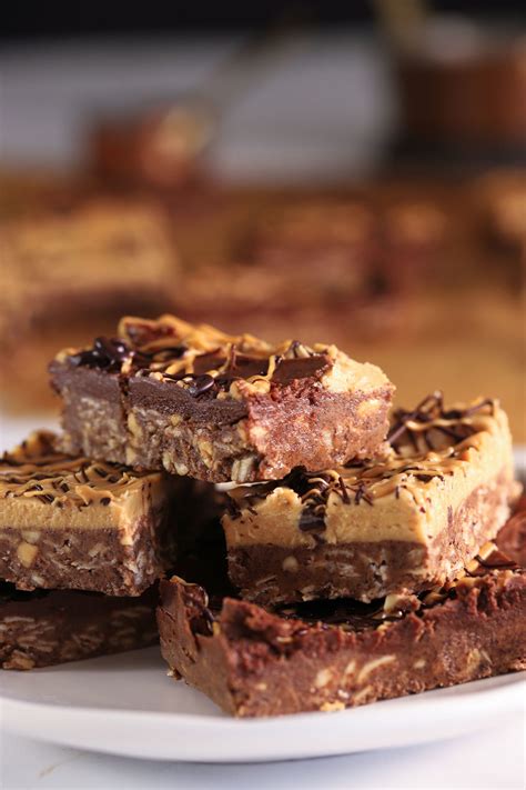 Easy Recipe Yummy No Bake Chocolate Peanut Butter Oatmeal Bars