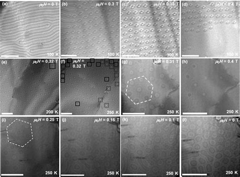 Over Focused Lorentz Transmission Electron Microscopy LTEM Images Of