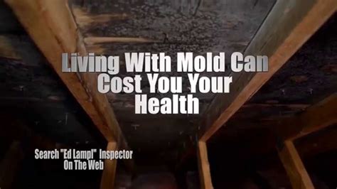 Ed Lampl Check For Mold In Your Home Advertisement YouTube