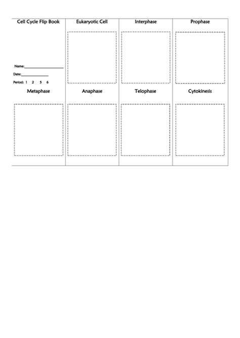 Cell Cycle Mitosis Flip Book Template - Cobb Learning printable pdf ...