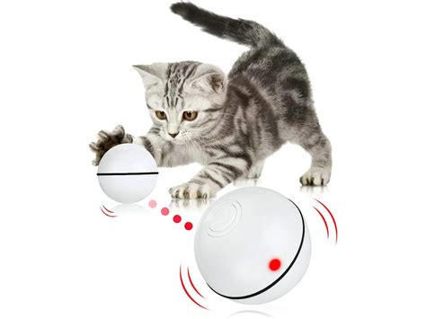 Brinquedos Interativos Para Gatos Bola Brinquedos Para Gatinhos