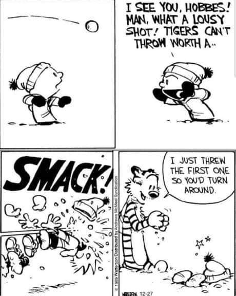 A snowball fight with Hobbes : r/calvinandhobbes