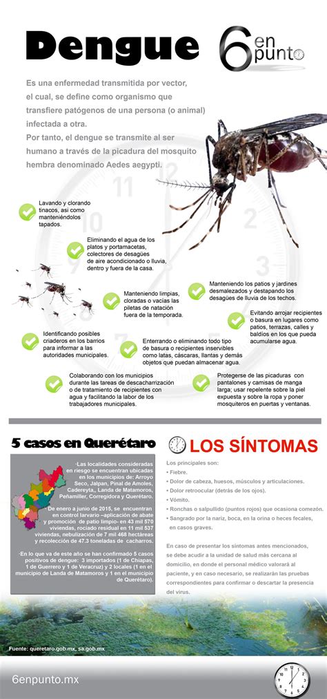 Dengue C Mo Prevenir Su Propagaci N En Punto