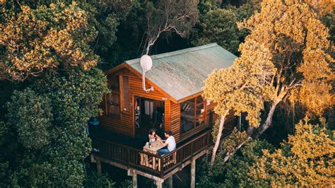 ESCAPADAS Las casas en los árboles para irte de escapada El