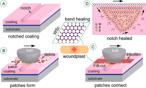 Schematic Illustration Of The Self Healing Process Where Tribofilms