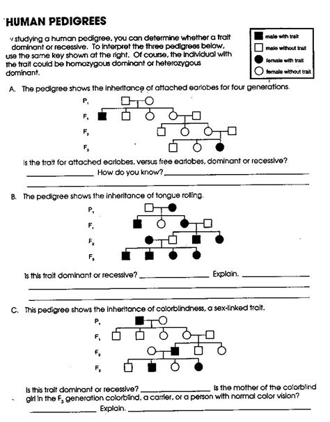 Pedigree Chart Genetics Worksheets