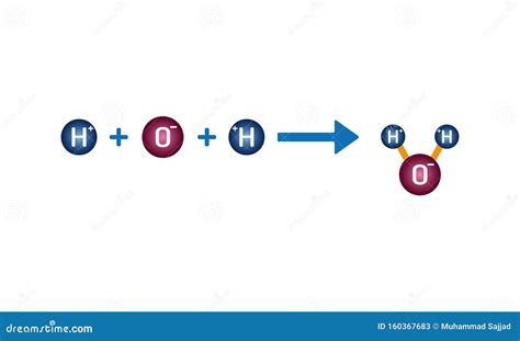 Covalent Bond Vector Illustration. Explanation And Example Labeled ...