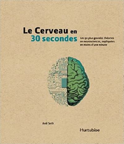 Le Cerveau En Secondes Les Plus Grandes Th Ories En Neurosciences