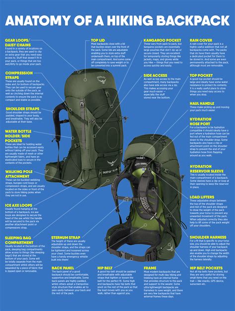 Understand The Parts Of A Backpack For Trekking And Backpacking Cool