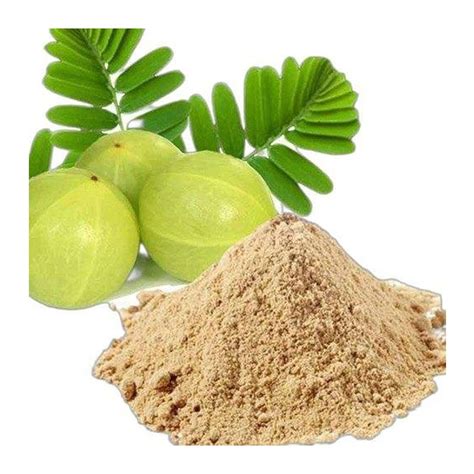 Natural Amla Powder At Rs Kg Amla Ayurvedic Herbal Powder In