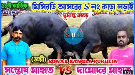 মিশিরডি আসরের ১নং কাড়া লড়াই💥সন্তোষ মাহাতোজয়ী বনাম দামোদর মাহাতো💥