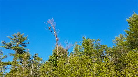 Paddling Shelburne Pond – Wayfarer