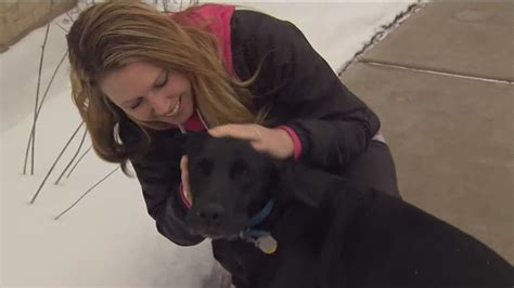 Dog Alerts Police Officer Helps Save Owners Life Youtube