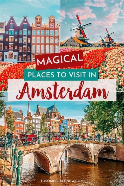 Amsterdam Layover Guide How To Spend A Long Layover In Amsterdam Artofit