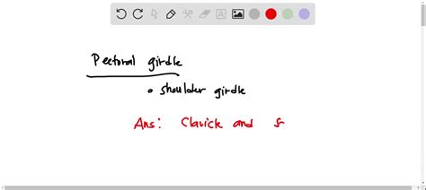 SOLVED Jnit 3 Lab Test Saved Help Save Label The Structures In An