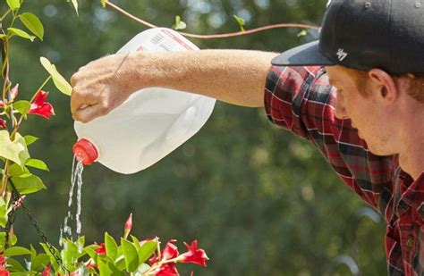 Milk Jug Crafts 19 Cool Ways To Reuse Plastic Jugs Fabulessly Frugal