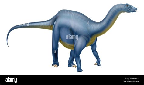 Realistic Dinosaurs Hi Res Stock Photography And Images Alamy