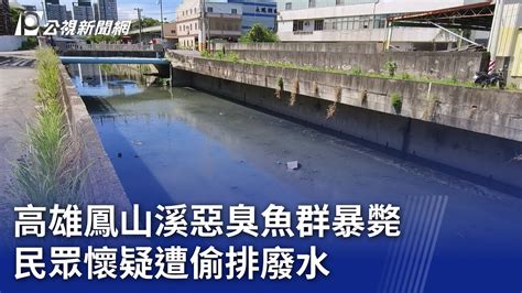 高雄鳳山溪惡臭魚群暴斃 民眾懷疑遭偷排廢水｜20240622 公視晚間新聞 Youtube