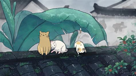 Cats Chill In A Rainy Day Live Wallpaper Hdlivewall