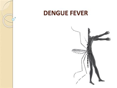 Solution Dengue Fever Research Based Ppt Complete Presentation On