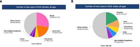 Frontiers Cancer In Africa Is It A Genetic Or Environmental Health