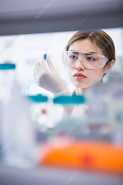 Lab Assistant Wearing Safety Goggles Stock Image F020 3284