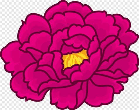 Flower Paper Moutan Peony Floral Design Peony Purple Herbaceous