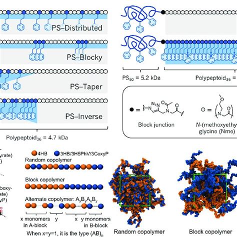 Monomer Sequence Distributions Of Different Copolymer Types A The