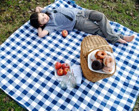 Picnic Blanket Drawing At Getdrawings Free Download