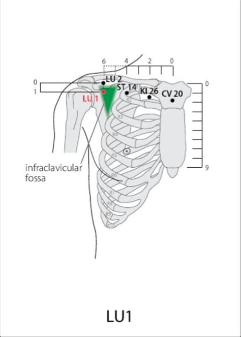 LU 1 Acupuncture Point Acupuncture Point Locations Review