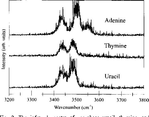 Figure 1 From The Infrared Spectra Of Uracil Thymine And Adenine In