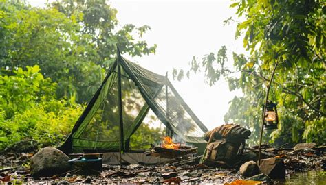 Tents Vs Hammocks The Difference