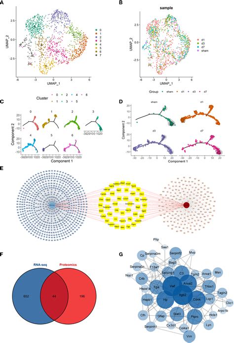 Overview Of Conventional Scrna Seq Analysis And Scstar Analysis Of Download Scientific Diagram