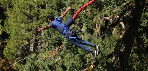 Bungee Jumping for extreme adrenaline! | Roll and Feel