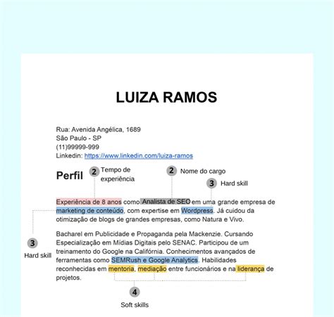 Redação Sobre Carreira Profissional Pronta LIBRAIN