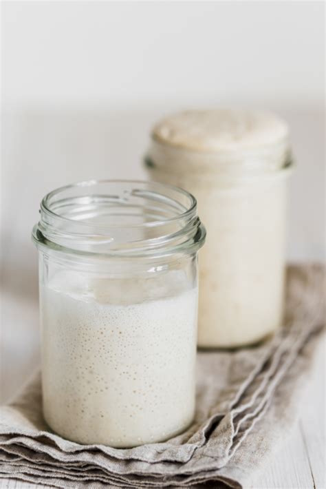 How To Feed Sourdough Starter And Maintain It More Momma