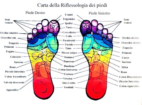 Riflessologia E Massaggio Plantare Salute In Erba